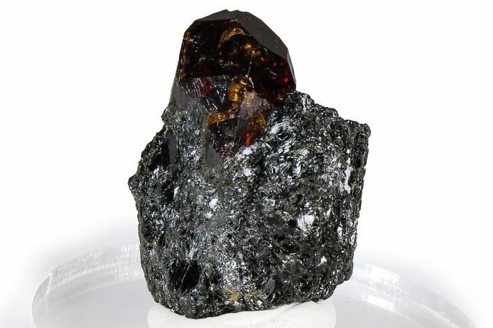 Fluorescent Zircon Crystal in Biotite Schist - Norway #363936